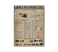 Guinea Pig Knowledge The Anatomy Of A Guinea Pig Metal Tin Sign Knowledge Poster Metal Wall Plaque Vintage Wall Art Decor Artwork Printing Gift For Home Shop Office Garden Garage Bar Outdoor 16"x12"