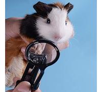 Guinea Pig Nail Clippers with Magnifying Glass Stainless Steel Claw Toenail Trimmer for Small Animal Hedgehog Rabbit Hamster Ferret Hamsters Chinchilla Sugar Glider Pet Grooming Supplies (Black)