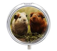 Guinea Pig on The Grass Pill Case Pill Box with 3 Compartments