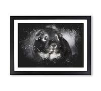 Guinea Pig Paint Splash Framed Print | A2 Black Framed Wall Art | Ready to Hang | Modern Nature Picture | Living Room Bedroom Lounge Office
