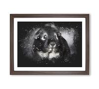 Guinea Pig Paint Splash Modern Art Framed Print | A2 Walnut Framed Wall Art | Ready to Hang | Modern Nature Picture | Living Room Bedroom Lounge Office
