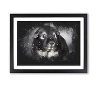 Guinea Pig Paint Splash Modern Art Framed Print | A4 Black Framed Wall Art | Ready to Hang | Modern Nature Picture | Living Room Bedroom Lounge Office