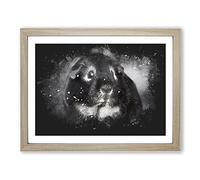 Guinea Pig Paint Splash Modern Art Framed Print | A4 Oak Framed Wall Art | Ready to Hang | Modern Nature Picture | Living Room Bedroom Lounge Office