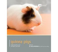 Guinea Pig - Pet Friendly: Understanding and Caring for Your Pet