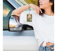 Guinea Pig Printing 10 Pcs Car Air Freshener Fragrant Sheets,Car Hanging Accessories With Strings For Decor