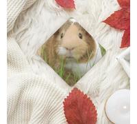 Guinea Pig Printing 10 Pcs Car Air Freshener Fragrant Sheets,Car Hanging Accessories With Strings For Decor