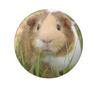Guinea Pig Round Badge - Durable Tin Plate Design With Full Front Print, Perfect For Custom Gifts And Apparel Decoration