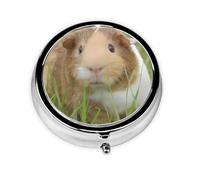 Guinea Pig This Small, Round Pill Box is a Portable Travel Medicine Organizer with Three compartments for Storing Daily medications.