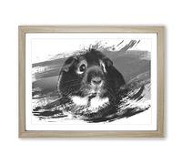 Guinea Pig V1 Modern Framed Print | A3 Oak Framed Wall Art | Ready to Hang | Modern Nature Picture | Living Room Bedroom Lounge Office