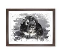 Guinea Pig V3 Modern Framed Print | A4 Walnut Framed Wall Art | Ready to Hang | Modern Nature Picture | Living Room Bedroom Lounge Office