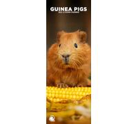 Guinea Pigs 2026 Wall Calendar, 12-Month Slim Format, Made in England