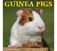 Guinea Pigs 2027 Wall