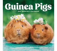 Guinea Pigs 2027 Wall Calendar | 12" X 24" Open | Marble City Press | Plastic Free | Printed on Thick Art Paper