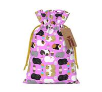 Guinea Pigs And Cupcakes Print Drawstring Gift Bags,For Holiday Season,Birthdays,Anniversaries And Any Special Occasion