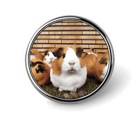 Guinea Pigs Badge Holder Exquisite Round Badge with Picture Pin DIY Button Badges Personalized Metal Button Pin Fashion Brooch Crafts Gifts Clothes Decorative Pins