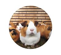 Guinea Pigs Button Pins 5 Pcs, 2.4 Inch Round Button Badges Metal Personalized Picture Photo Pin Buttons Kit For Craft Supplies Christmas Diy Party Projects