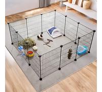 Guinea Pigs Cages