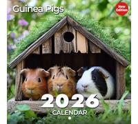 Guinea Pigs Calendar 2026: Adorable Companions in Various Settings