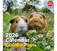 Guinea Pigs Calendar 2026: Adorable Companions in Various Settings