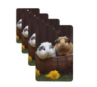 guinea pigs Car Air Fresheners Cards 4 Pcs Hanging Fragrance Scented Cards Long-Lasting Car Aromatherapy Tablets for Wardrobe Bathroom Car Interior Mirror Pendant Gifts