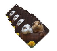 guinea pigs Car Air Fresheners Cards 4 Pcs Hanging Fragrance Scented Cards Long-Lasting Car Aromatherapy Tablets for Wardrobe Bathroom Car Interior Mirror Pendant Gifts