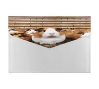 Guinea Pigs File Folder with Snap&6 Pockets Reusable File Organizer Portable Document Paper Bill Receipt Organizer Plastic Envelopes for Office College Letter Size