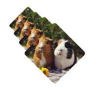 Guinea Pigs Funny Car Air Fresheners Cards 4 Pcs Hanging Fragrance Scented Cards Long-Lasting Car Aromatherapy Tablets for Wardrobe Bathroom Car Interior Mirror Pendant Gifts