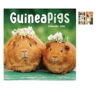Guinea Pigs Mini Calendar 2026 + FSC ECO-FRIENDLY DIARY