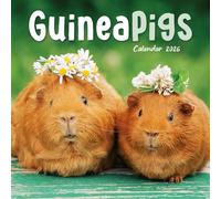 Guinea Pigs Mini Calendar 2026, Wall Calendars, Month To View, Gift