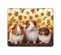 Guinea Pigs Mouse Pad Waterproof Gaming Mousepad for Office Computer Mousepads for Desk Pad with Non-Slip Rubber Base Washable Cloth Mouse Mat 7 x 8.6 in