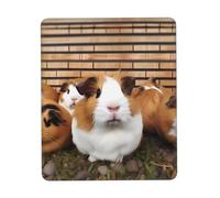 Guinea Pigs Mouse Pad with Non-Slip Rubber Base 10 x 12 inch Mouse Mat with Stitched Edge Gaming Mousepad for Wireless Mouse Computer Laptop Home Office Desk Pad