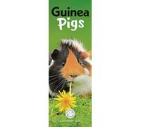 Guinea Pigs (PFP)Slim