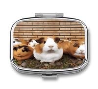 Guinea Pigs Pill Organizer with 2 Compartments Metal Square Pill Case Small Pill Box Portable Medicine Box Slim Travel Pill Container Medicine Organizer for Daily Use