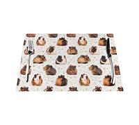 Guinea Pigs Placemats Set Woven Placemats for Dining Table Heat Resistant Place Mats Non-Slip Washable PVC Table Mats for Home Kitchen Weddings Holiday Party Decor