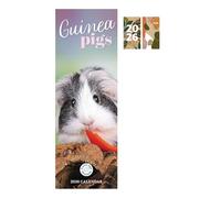 Guinea Pigs Slim Calendar 2026 + FSC ECO-FRIENDLY DIARY