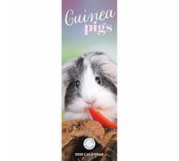 Guinea Pigs Slim Calendar 2026, Wall Calendars, Month To View, Animals, Gift