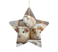 Guinea Pigs Stars Ornaments Exquisite Ceramic Christmas Ornament Compact Christmas Pendants Funny Double-Sided Printed Xmas Tree Hanging
