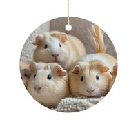 Guinea PigsChristmas Ornaments Christmas Round Ceramic Pendant Christmas Hanging Decor for Women Men Xmas Tree Decorations Keepsake