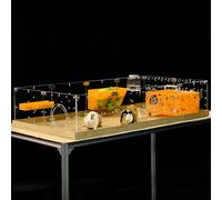 GuineaLoft™ Acrylic Cage (Model-A2) - Large 4x2ft Open Cage for Guinea Pigs, Rabbits, Button Quails, Hedgehogs, Small Animals That Need Roaming Space - Visit The GuineaLoft Store to See More