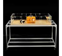 GuineaLoft™ Acrylic Cage (Model-A2) - Large 4x2ft Open Cage for Guinea Pigs, Rabbits, Button Quails, Hedgehogs, Small Animals That Need Roaming Space - Visit The GuineaLoft Store to See More