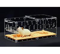 GuineaLoft™ Acrylic Cage (Model-P2) - Small 2x1 ft Enlosed Cage w/Lid & Bottom for a Single Guinea Pig or Hamsters, Connectable, DIY Extendable - Visit the Guinea Loft Store to See It All