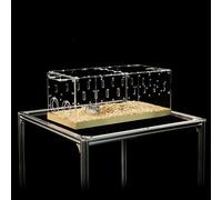 GuineaLoft™ Acrylic Cage (Model-P3B) - Small 2x1 ft Enclosed w/Lid & Bottom for Hamsters, Rats, Mice, Gerbils, Also Works for a Single Guinea Pig, or as a Transport Cage