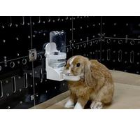 GuineaLoft™ Auto Drinker - Water Bottle for Rabbits, Ferrets, Quails and Small Animals in Need of Simple Way of Drinking. No Need to Push Any Tabs. Automatically Refill to 3/4 Full. No Spillage