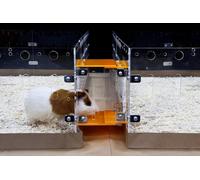 GuineaLoft™ Cage Connector (Version 2) - Connects Guinea Pig Cages Through Corridors, Easy to Insert, Easy to Remove, Can Be Closed, Adds Space and Structures,Exclusive by Guinea Loft