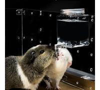 GuineaLoft™ Clear View Water Bottle for Guinea Pigs & Birds - The Ultimate Solution by Seasoned Owners Who Tried Everything Out There