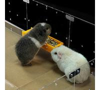 GuineaLoft™ Food Feeder Yellow - Say Goodbye to Traditional Bowls! Ultimate Feeder for Small Pets like Guinea Pigs, Rabbits and Chinchillas. Designed & Made by Seasoned Owners - GuineaLoft Exclusive