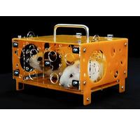 GuineaLoft™ Guinea Pig Cheese House (Double) V2 - The Ultimate Guinea Pig Hideout by Seasoned Owners Who Tried Everything Out There - Exclusive by Guinea Loft