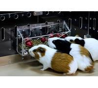 GuineaLoft™ Hop-Stop Harmony Feeder - Patent-Pending Innovative Feeder Designed & Made by Seasoned Owners Who Tried Everything Out There - Guinea Loft Exclusive
