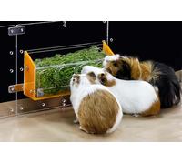 GuineaLoft™ Hop-Stop Harmony Feeder (Yellow) for Guinea Pigs | Patent-Pending Innovative Feeder Designed & Made by Seasoned Owners Who Tried Everything Out There - GuineaLoft Exclusive
