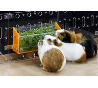 GuineaLoft™ Hop-Stop Harmony Feeder Yellow - Patent-Pending Innovative Feeder Designed & Made by Seasoned Owners Who Tried Everything Out There - Guinea Loft Exclusive